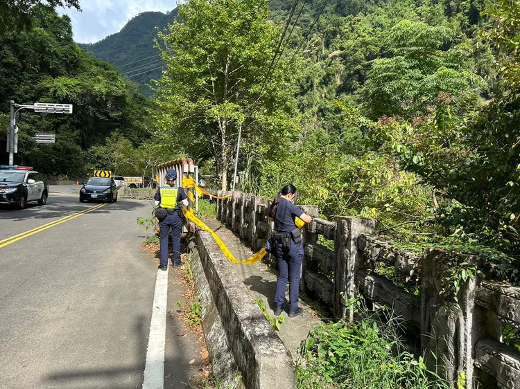 警方檢視現場蜂巢。翻攝畫面