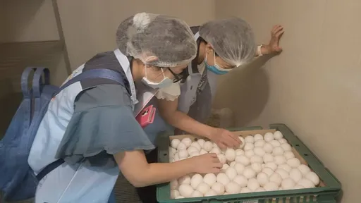 農業部、教育部籲禁用液蛋縣市評估開放 中市府不甩:家長有疑慮