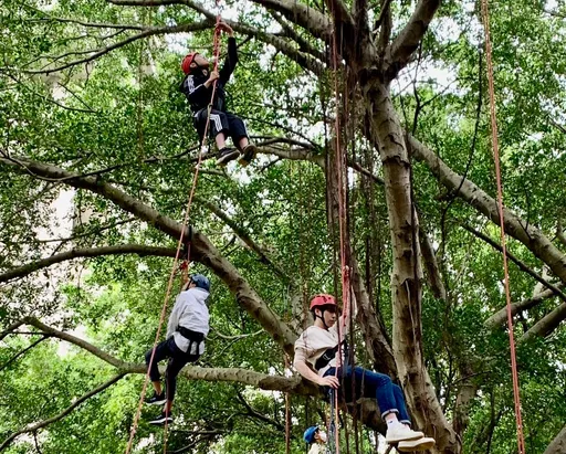 元智大學校園攀樹體驗 傳遞環境友善理念