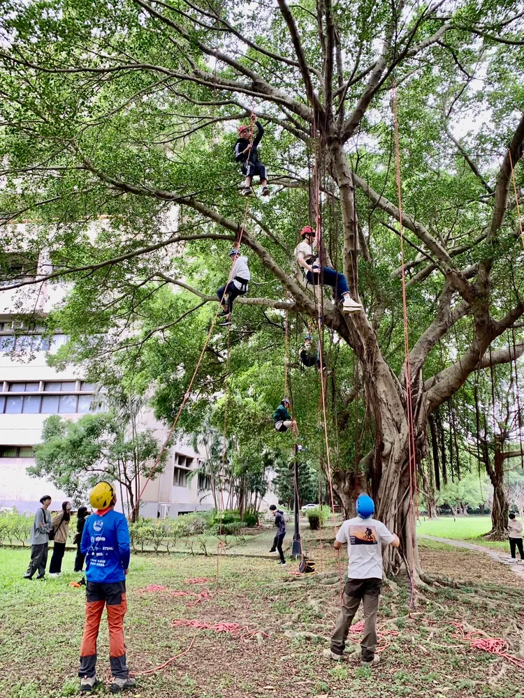 學生攀樹體驗。元智大學提供