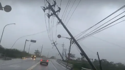電桿刷一排全倒!車鑽夾縫「過13關」驚險影片曝光 恆春逾萬戶停電
