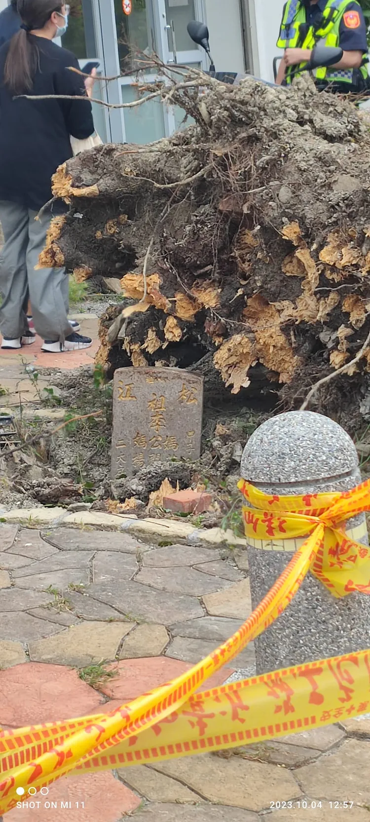 民眾研判該墓碑應是1984年甲子年間所立。翻攝臉書「徐秋雲」