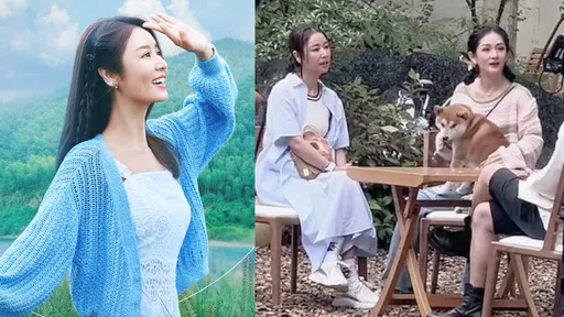 林心如、谢娜、杨紫下乡搞事业 苏有朋助阵当大厨