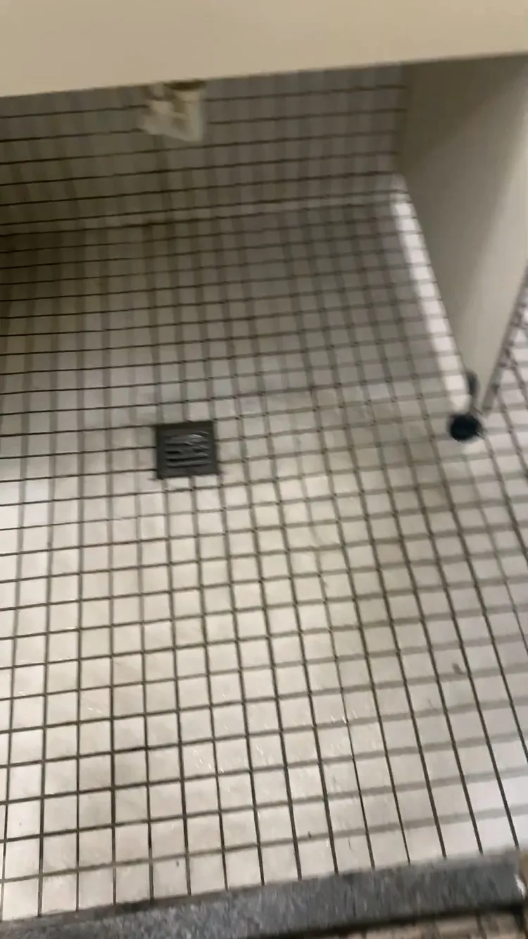 校方複查時拍的畫面卻很髒。讀者提供