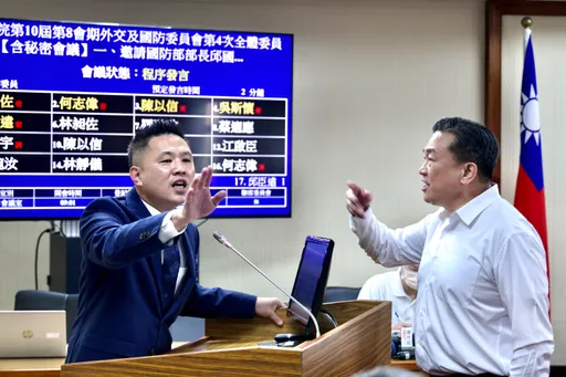 藍委提「大嘴巴條款」還嗆「我就是在說你」 王定宇一度衝上前