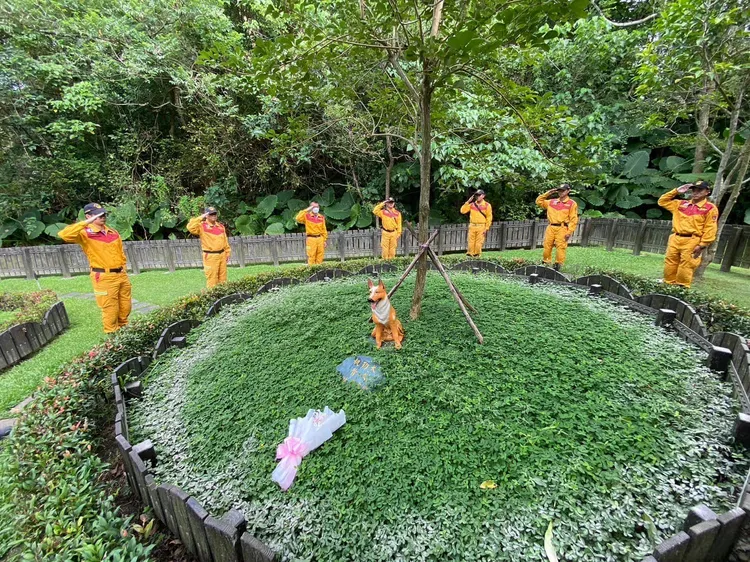 台北市搜救隊副隊長楊朝元昨天率全體領犬員陪同寄養家庭一同到富德公墓，並於園區的政府部門執勤犬灑葬專區進行灑葬儀式。翻攝臉書「台北市搜救隊」
