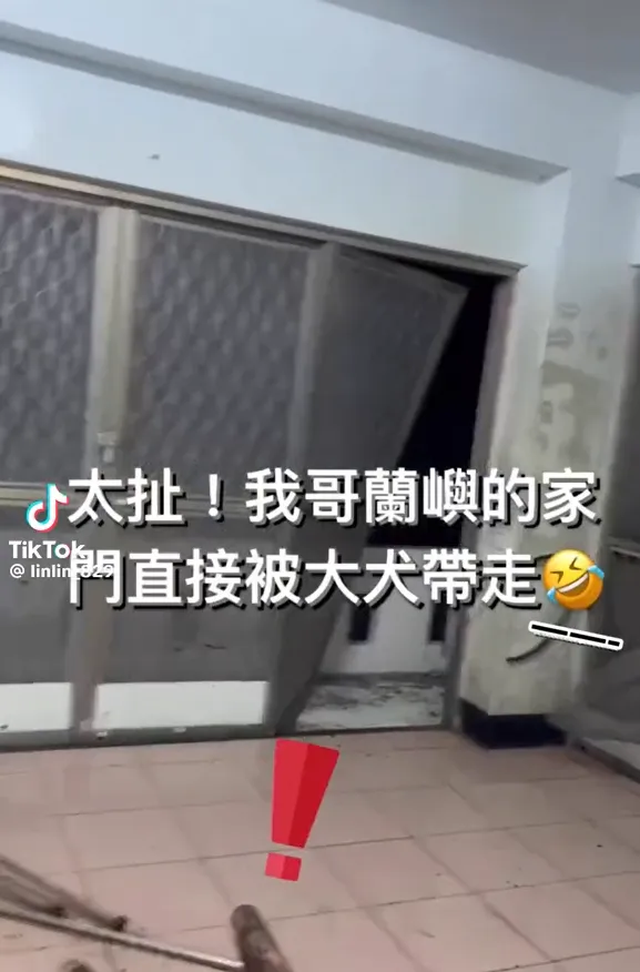 鋁門被強風吹到搖晃。翻攝自linlin_829抖音