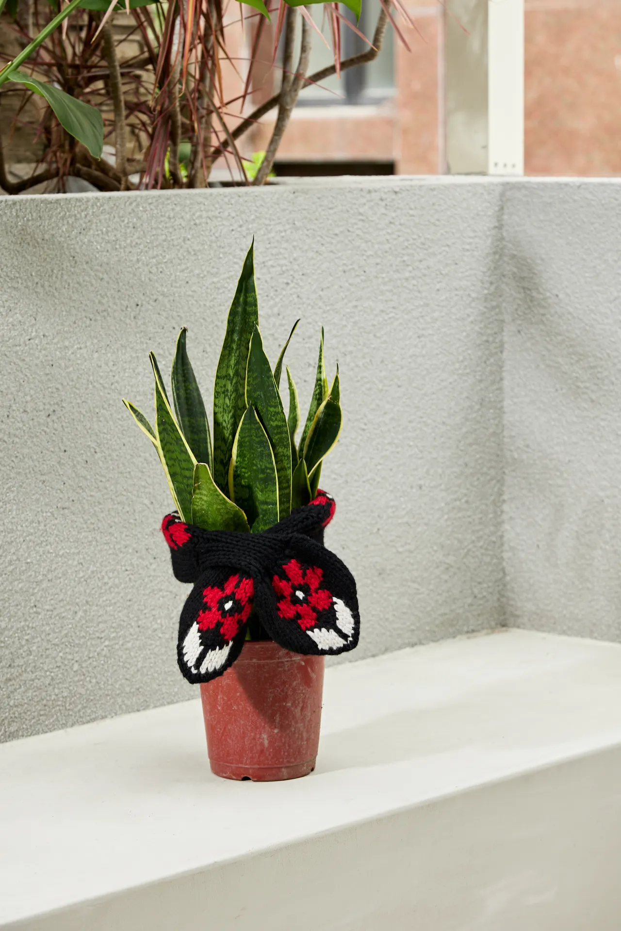 YMC花朵圍巾，3900元。品牌提供