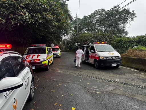 又是虎頭蜂！南投鳳凰谷鳥園傳出6人遭螫傷　幸生命徵象皆穩定