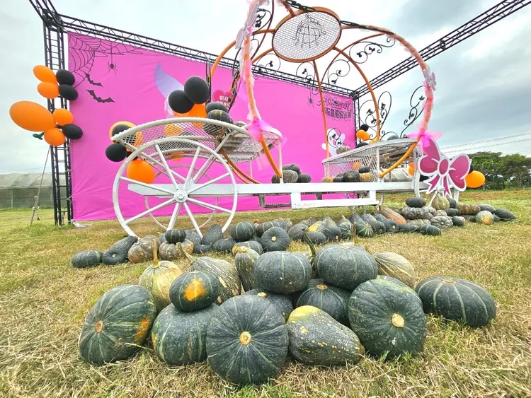 現場在地特產南瓜。農業局提供