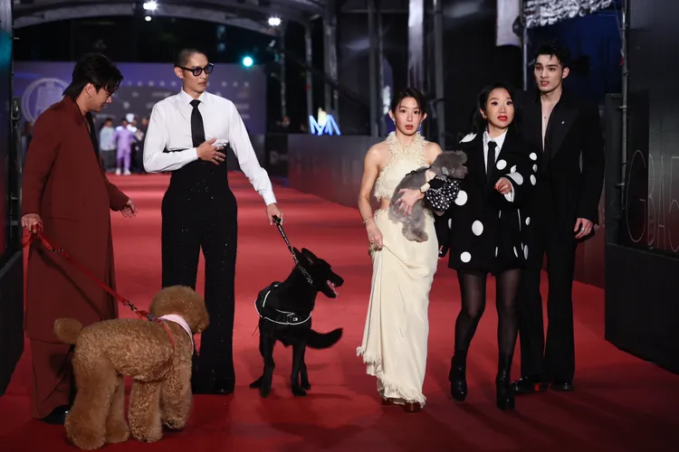 曹佑寧（左二）手中的毛小孩一度失控。攝影中心攝