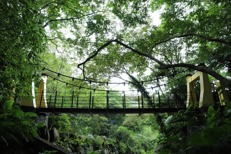 台北極東秘境--南港桂花吊橋等你來。大地處提供