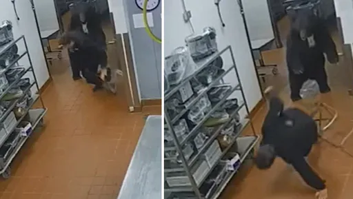 有片有真相!會「降龍18掌」的熊熊 闖酒店「熊掌」揮倒保全大叔