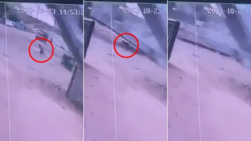 驚悚影片｜高架橋5巨板墜落「砸扁車伕」　他棄車狂奔跑不贏死神
