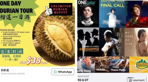 心動想參加一日旅遊團吃榴槤 43人墜詐騙損失120萬新元