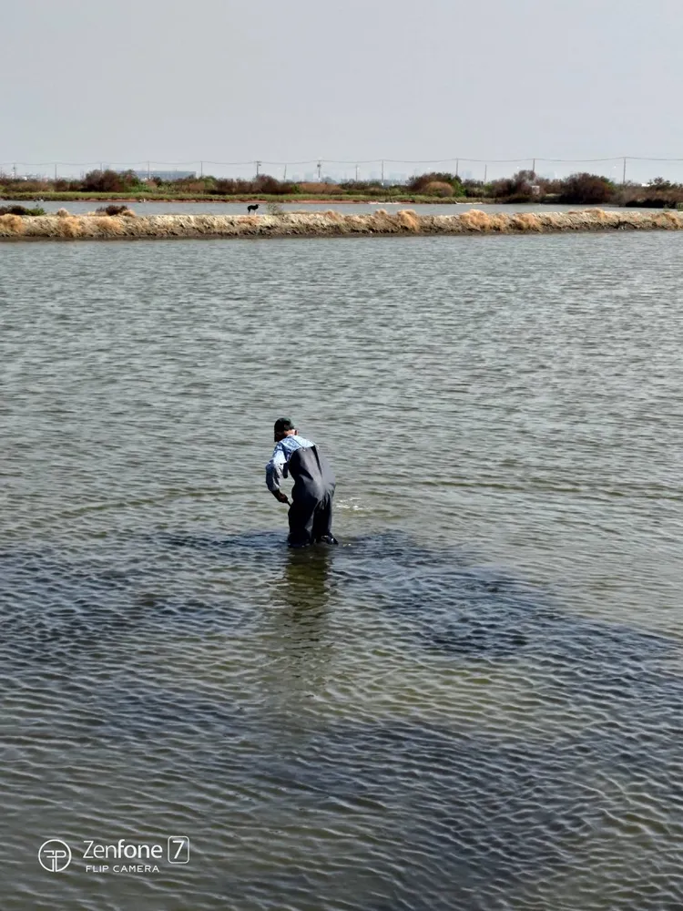 農業局將協助漁民改善養殖環境。農業局提供