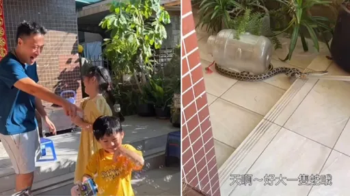 余祥銓帶外甥中秋烤肉驚見「我爸天敵」 大蛇遊走嚇到余天