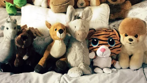 路邊車震搖起來 警察驚見他嘿咻對象竟是「動物玩偶」