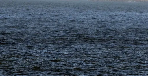 「消失的他們」日本三重親子5人出門未歸 警發現落海轎車與遺體