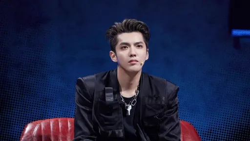 吳亦凡蹲苦牢23個月又出事 旗下公司8480萬沒了