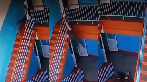 驚悚影片｜滑樓梯扶手「倒栽墜樓」　男學生頸部骨折重傷
