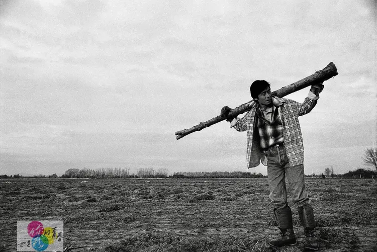 35歲時拍的伐木照片，正好就是目前王傑在加拿大的生活寫照。 《你的青春也是我的青春》提供