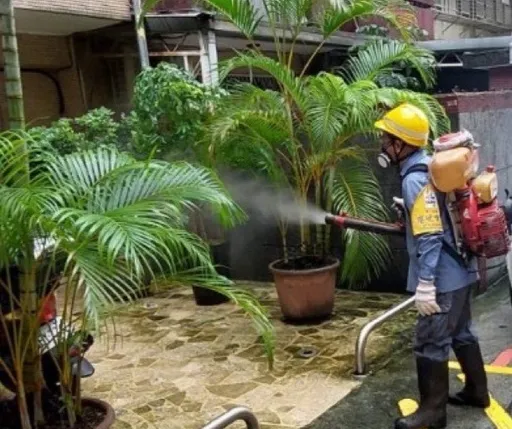 台北登革熱單週創新高!一口氣爆12例 連假出遊慘中鏢
