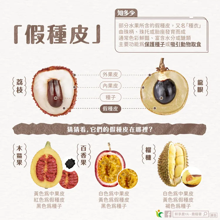 翻攝自農糧署臉書「鮮享農YA - 農糧署」