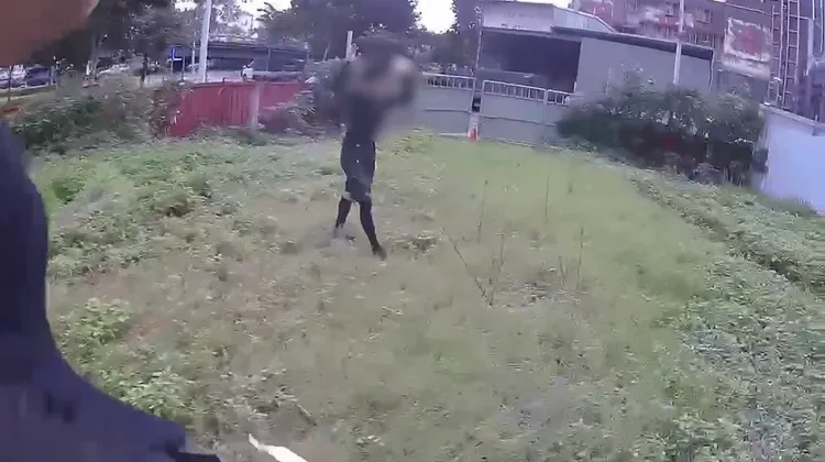 陳男在菜園被圍捕。翻攝畫面