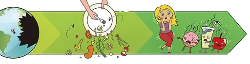 壹蘋派生活美語 食物浪費