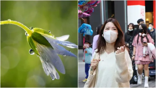 寒露降溫疾病風險增 醫教2招「防寒抗涼燥」!曝深秋食補好物