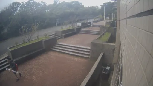 小犬襲台!文化大學改採遠距教學 教授:住宿生搶糧大作戰