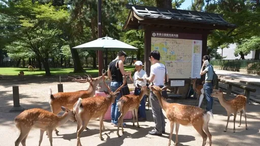 怎捨得？日本奈良鹿愛護會遭舉報虐鹿　年死逾50頭