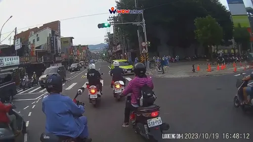 療癒片！三寶車「逆向遇到鴿」　網笑翻：不抓都不行