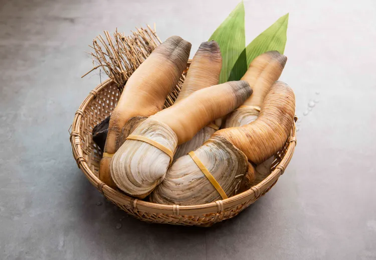 象拔蚌料理有刺身及汆燙的選擇。翻攝畫面