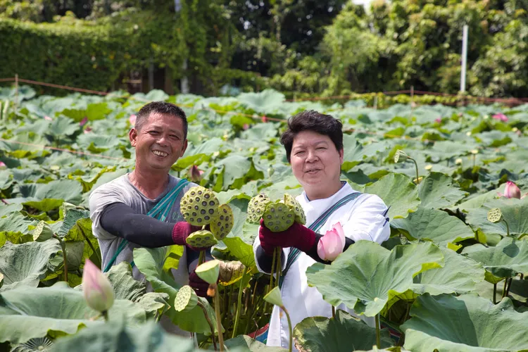 台南晶英鐵板燒副主廚與白河蓮藕小農收購當令食材並加入此次菜單。晶華提供