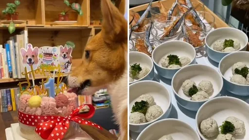 柯基犬斗宅生日Party 豪華程度媲美大明星