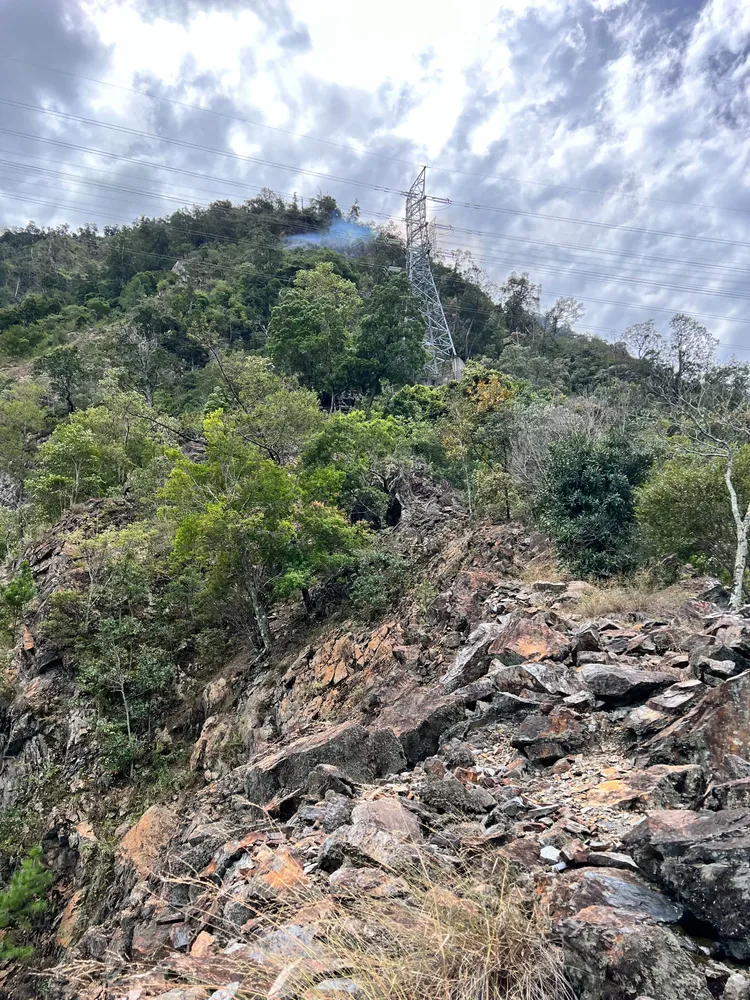 現場林相為針濶葉淆混林，地勢陡峭，坡度約70-80度。林業及自然保育署台中分署提供