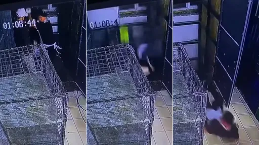 驚悚影片|電梯急墜殺了麵包師 同事「神速脫逃」奇蹟躲死劫