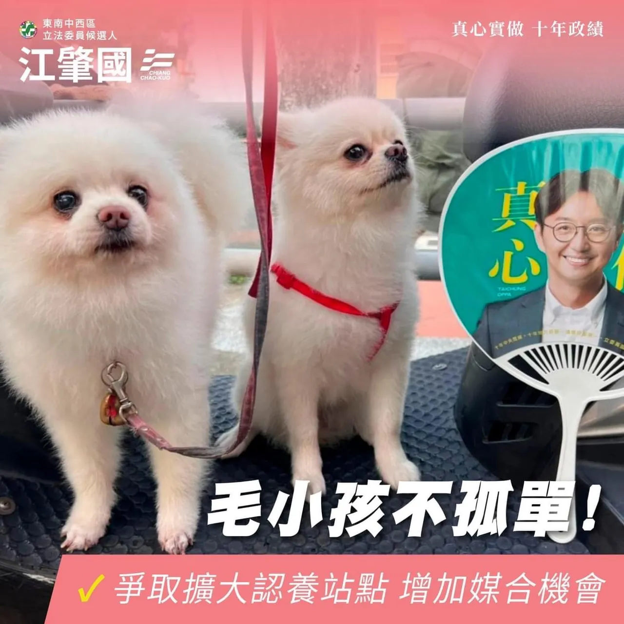 他爭取擴大認養據點,毛小孩不孤單。江肇國提供
