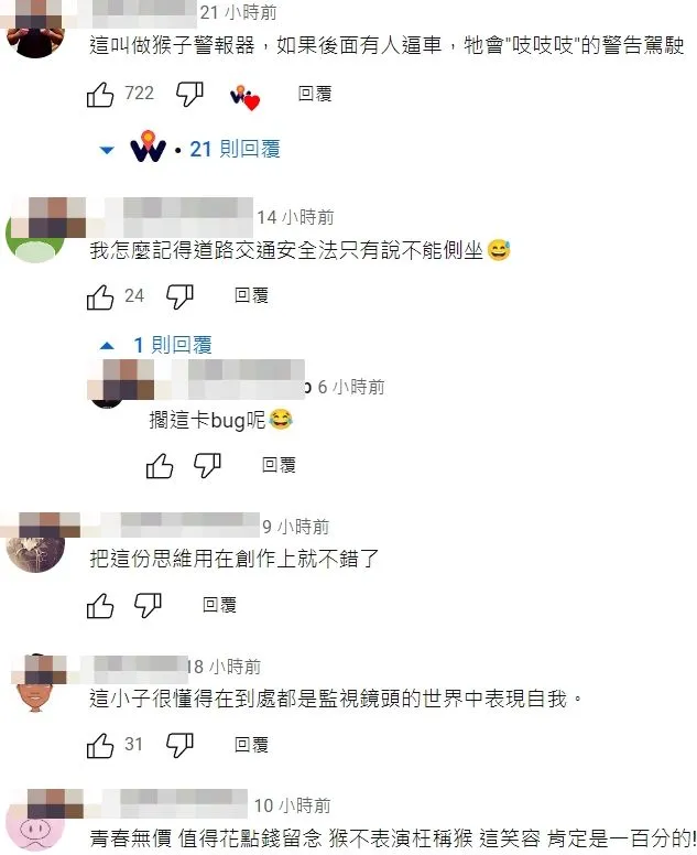 網友留言開酸「猴子警報器」。翻攝自YT頻道「WoWtchout - 地圖型行車影像分享平台」