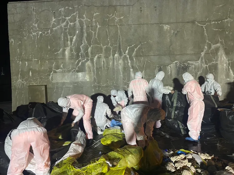 相關人員上船查緝。翻攝畫面