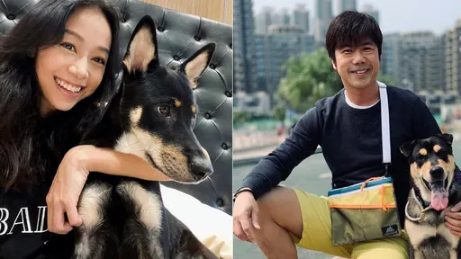 女星黃心穎擺脫許志安不倫戀 低調辦Live Band婚禮甜嫁鼓手