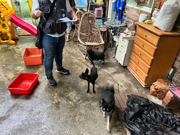 棄養犬隻已被志工暫時安置。翻攝照片
