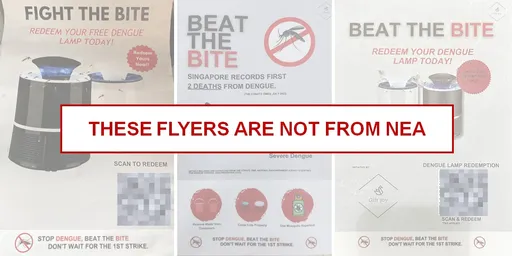 防登革熱淪詐騙肥羊!新加坡廣傳免費防蚊燈傳單 環境局喊:小心