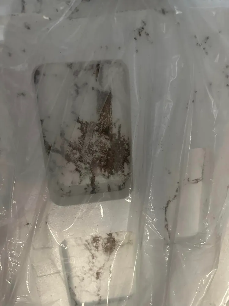 原來是白蟻家族。翻攝自「Costco好市多 商品經驗老實說」