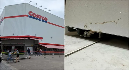 好市多買電器送「成群生物」 苦主崩潰:家中大蔓延!狂噴殺蟲劑