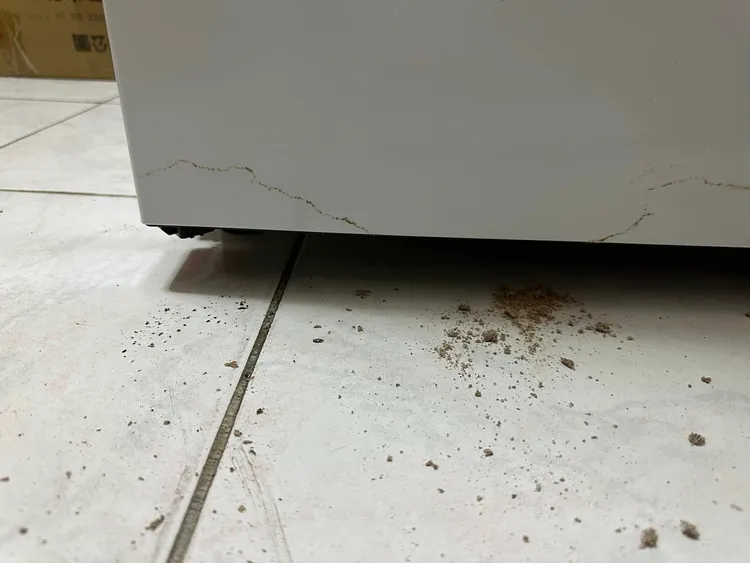 冷凍櫃下方看起來有點像「髒污」。翻攝自翻攝自「Costco好市多 商品經驗老實說」