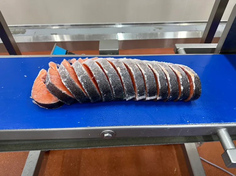 鮭魚輪切機每小時最大產能約150尾，人工1小時約50尾，提升3倍。陳怡文攝