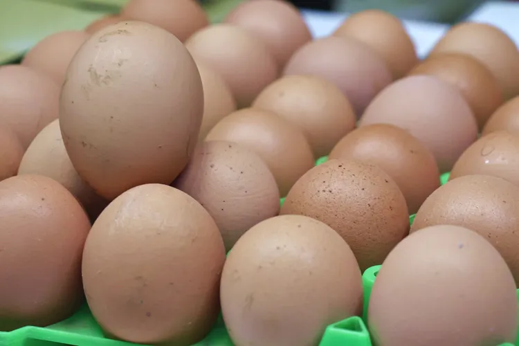 雞蛋有動物性蛋白質，還能補充維他命B12。資料照